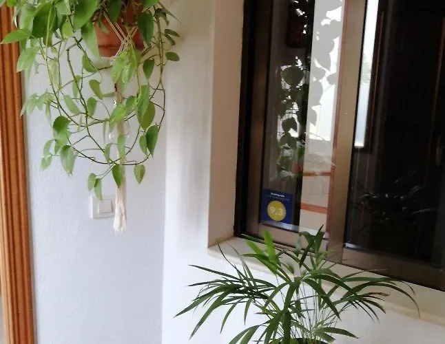 Casa Amaia 度假居 阿雷西费