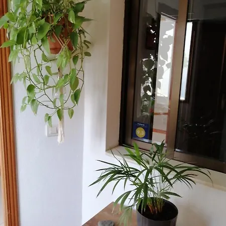 Casa Amaia Prázdninový dům Arrecife (Lanzarote)